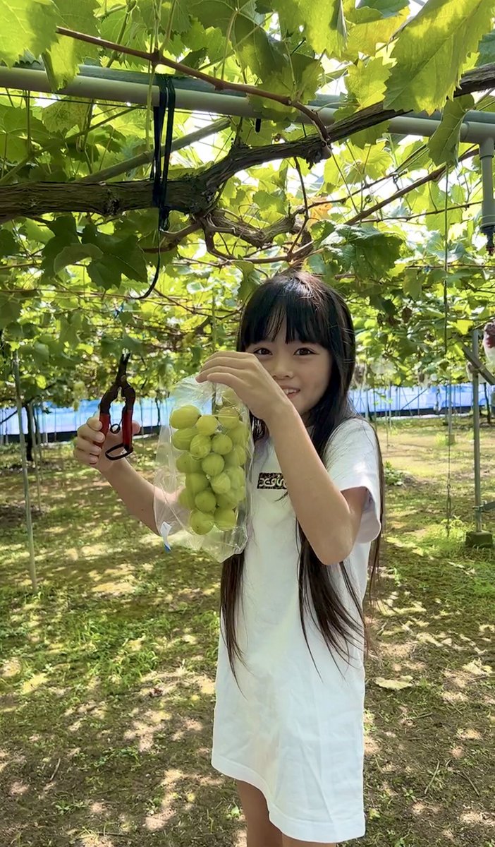 cocom72643893's tweet photo. おはようございます(⑉• •⑉)
あっという間に楽しかった���休みが終わっちゃったꔛ自分で収穫したシャインマスカットも、いっぱい食べたよ🍇今日から2学期がんばるぞ(⁎⁍̴̛ᴗ⁍̴̛⁎)
いってきまーす
#COCO
#koko
#スタライ長崎
#ssb
#長崎超絶美少女 https://t.co/NB1RKoImIq