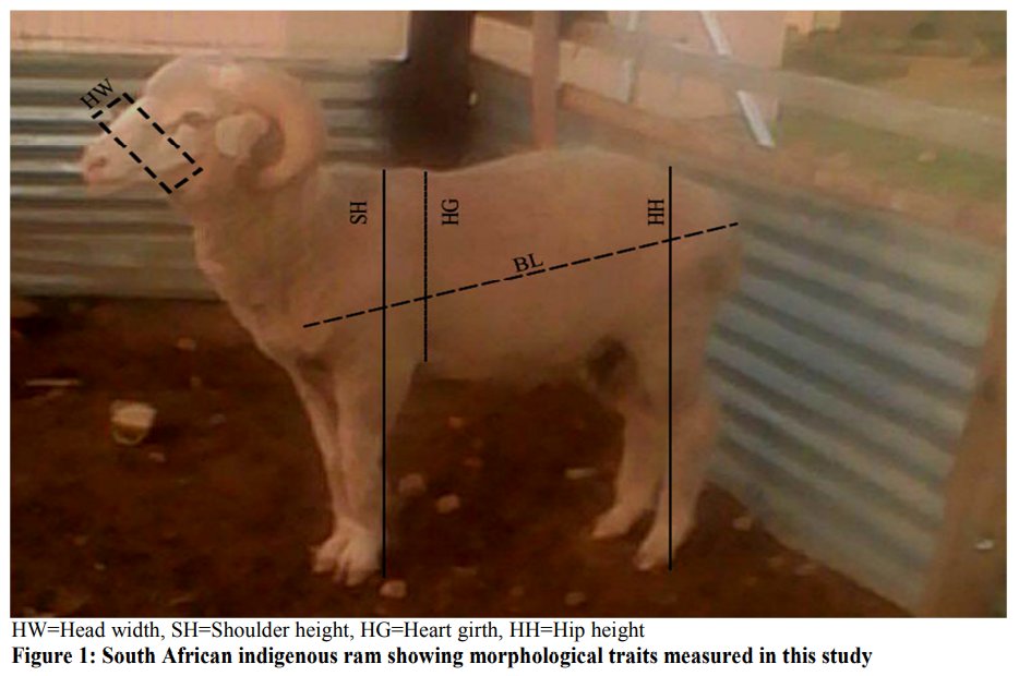 Michael McC tweet media