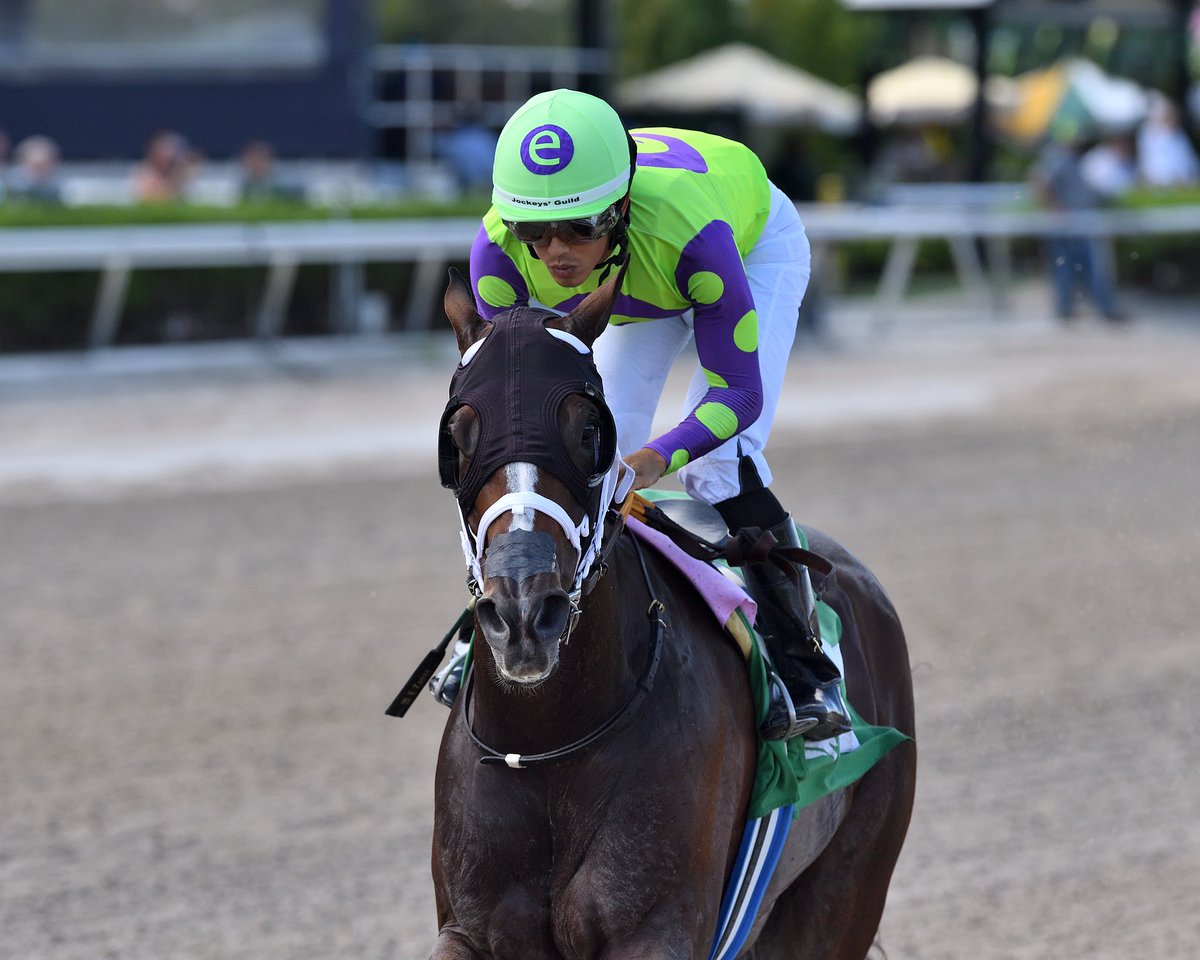 SaffieJosephJr's tweet photo. #28Aug Three Witches

Jockey: Edgard Zayas
Trainer: Saffie Joseph, Jr.
Owner: e Five Racing Thoroughbreds 
Allowance Optional Claiming $25,000

6️⃣6️⃣th victory for Saffie Joseph, Jr. #GulfstreamPark Sunday, August 27, 2023 #RoyalPalmMeet 

🎥 @artilespascualf 

📸 @coglianesephoto https://t.co/tCZbCPulHj