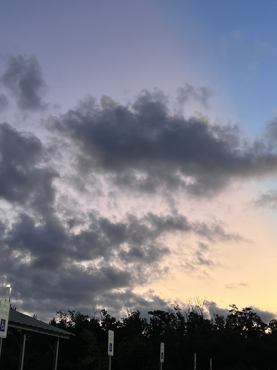 Lela (@lela65117550) on Twitter photo 