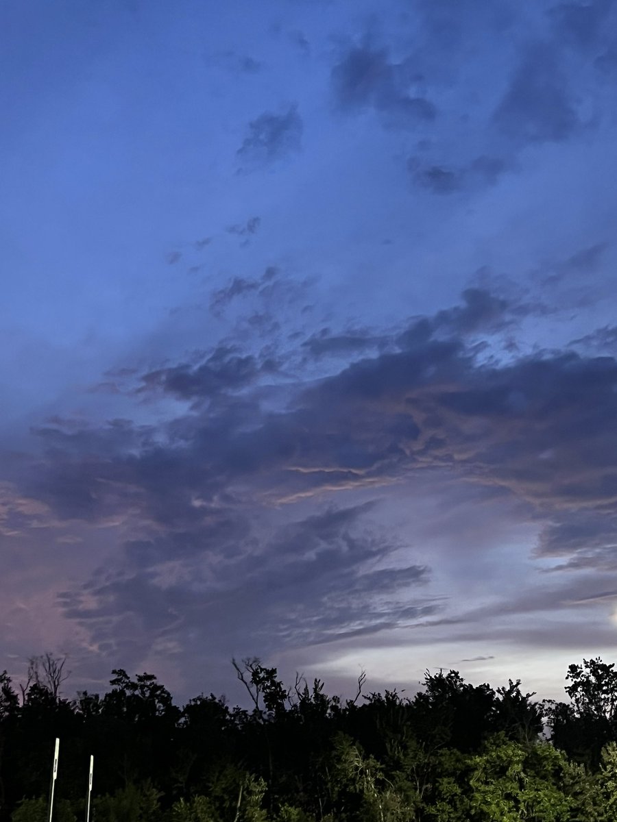 Lela (@lela65117550) on Twitter photo 