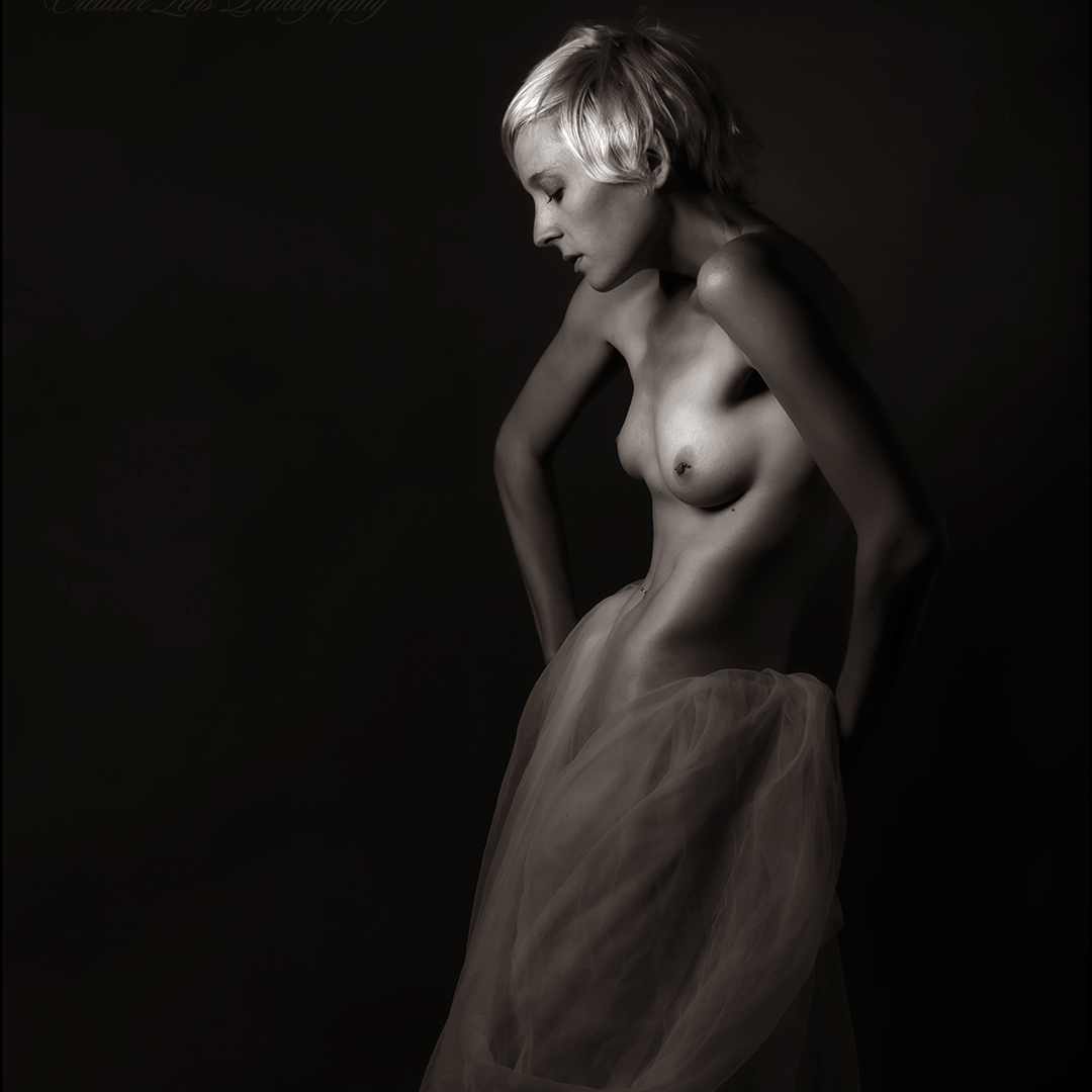 Model: Lee