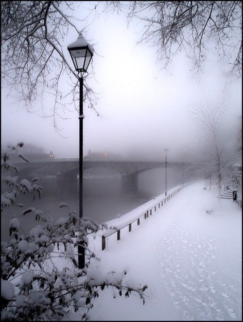 Feriminaee's tweet photo. What kind of weather is your anger?
Is your anger like a sun shower? A storm? Thunder? Rain?
@Architectolder
#mist #weather #nature #photography #travel
#sun #storm #thunder #rain #bridge #lightpost #snow #winter #Europe https://t.co/MUNTX0iR5Q