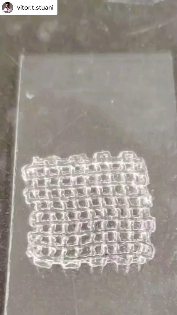 3dheals's tweet photo. #repost @vitor.t.stuani 👨🍳 Um scaffold de gelatina metacrilada no capricho saindo!
#impressao3d #bioimpressão #bioprinting #bioprint #3dprinting #regeneration #regeneração #odontologia #dentistry https://t.co/pIrTegafWD