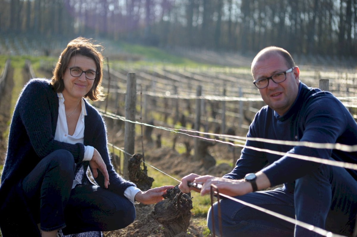 Christine y Franck Laloue, de la bodega que lleva su apellido, decidieron recoger el testigo de Serge Laloue en su pueblo natal de Thauvenay
🍇 wine-merchant.com/Domaine-Serge-…
#domainesergelaloue #sergelaloue #sancerre #francia #vino #winelover #wine #winemerchant #expertosenvinos