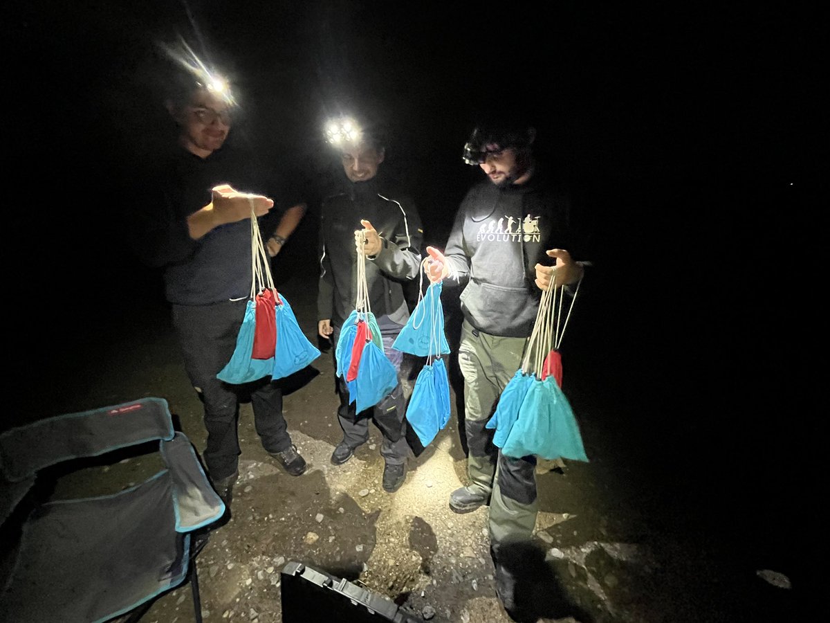 Ruben Evens tweet media