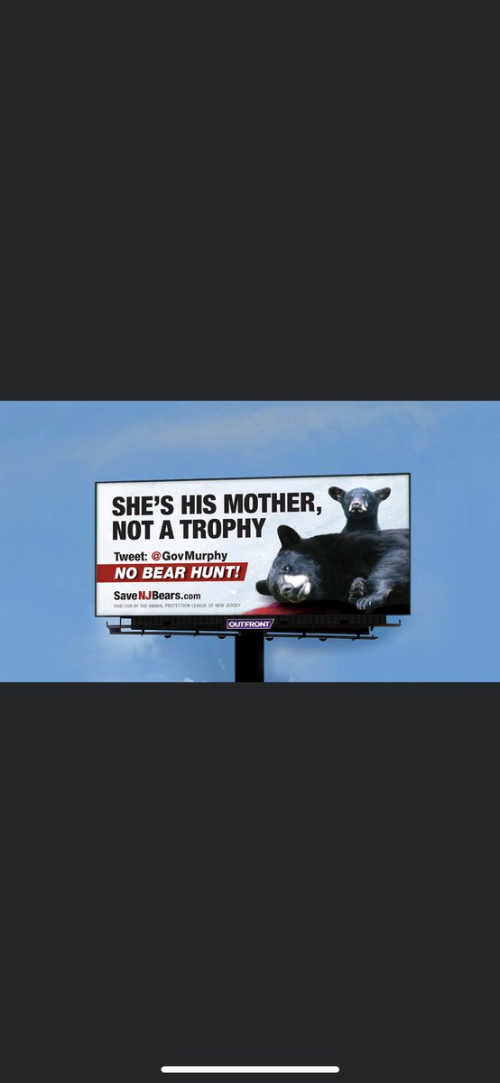 furfree5's tweet photo. #nobearhunt #savenjbears @GovMurphy https://t.co/aDQw34zyiv