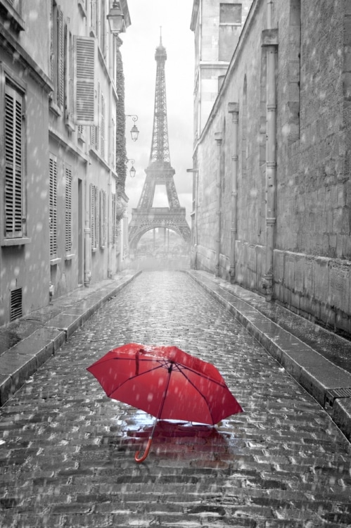 FluentU French tweet media