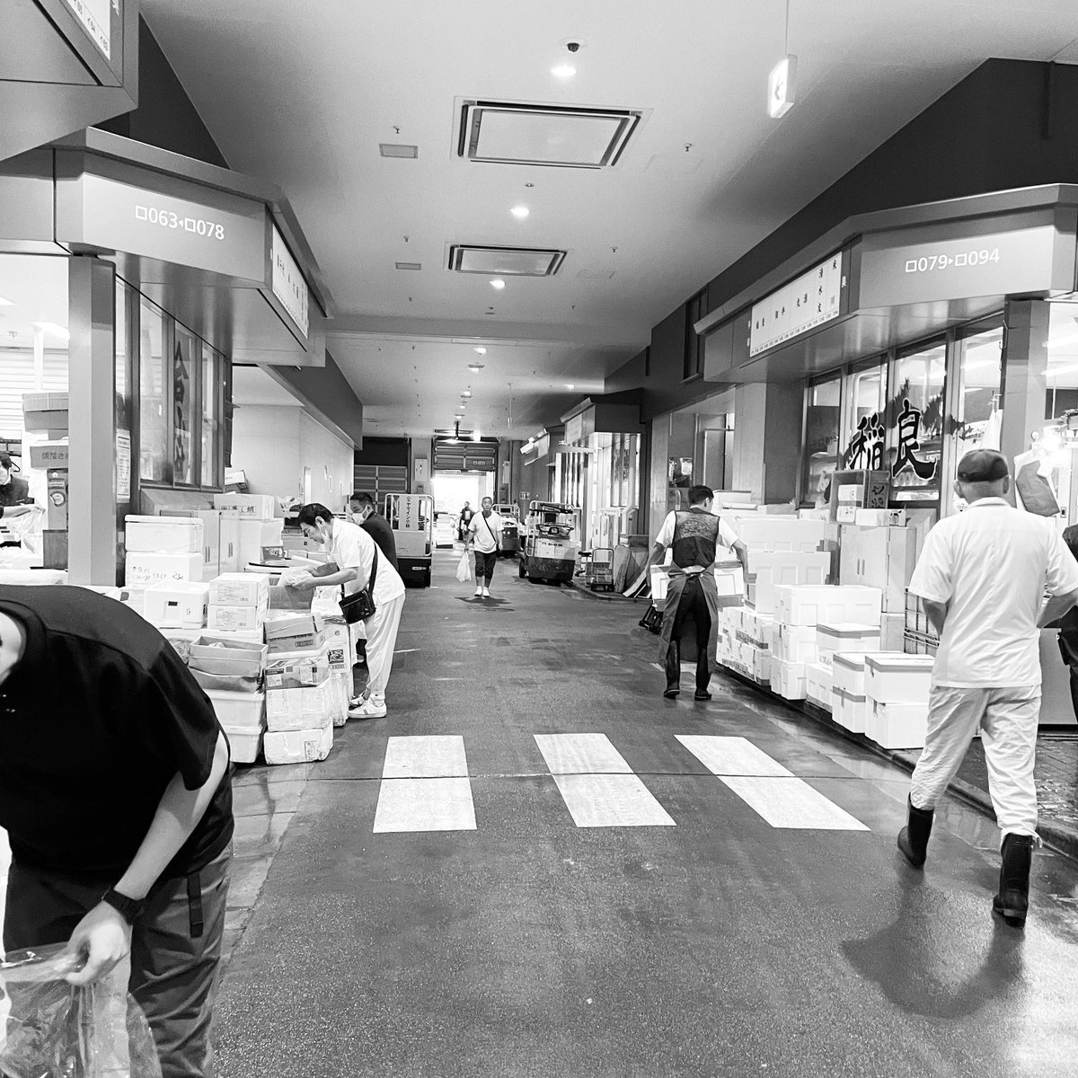 SobaSycamore's tweet photo. 8月29日(火)
【豊洲市場】…明日が休市の為仕入れへ☆
今朝も善き一期一会がありました☆☆
先週は沢山のご来店をありがとうございました☆☆☆
※明日8月30日(水)よりまたシカモアをよろしくお願いします。 https://t.co/9ohutKgpaj