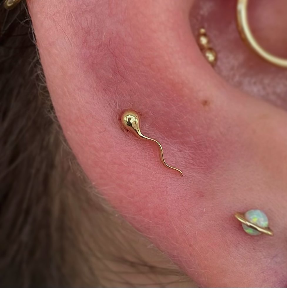 Yep, it's real! 😉

Thank you @chelseayoul8tr for sharing this photo of our 'The Seed' 18K gold end in this mid-helix piercing.

#anatometal #18Kgold #bodypiercing #safepiercing #madeinsantacruz #piercinginspiration