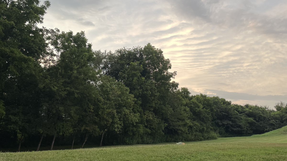 Terrie Winkle tweet media