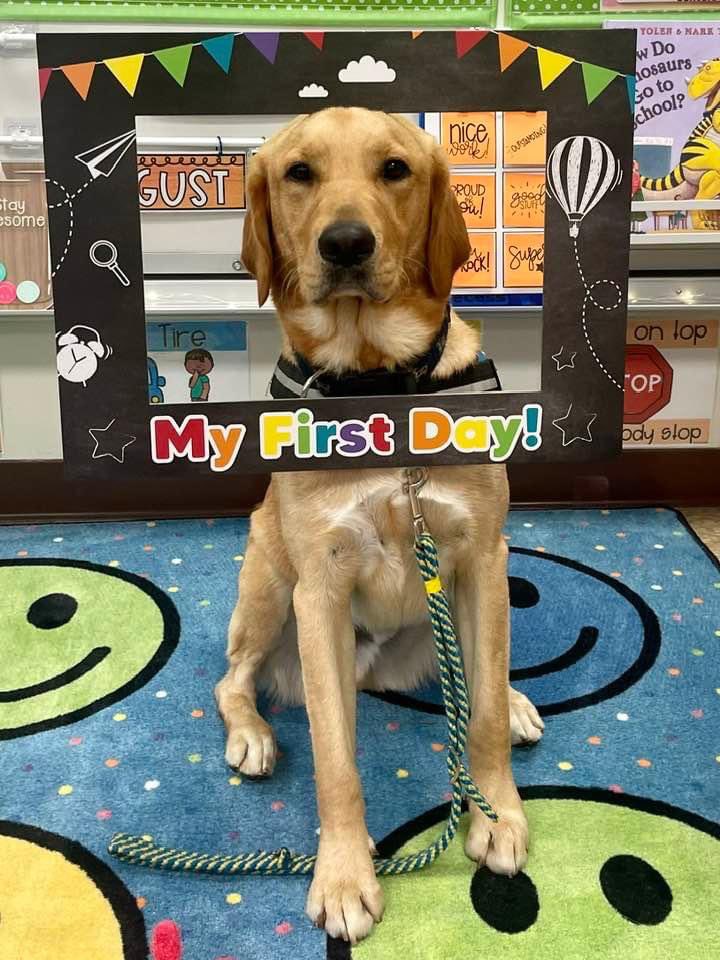 HeatherDiAngelo's tweet photo. First day, year 2, for Digby as my SD in the classroom at MES. He is so loved by all!
@AACountySchools 
#AACPSBack2Awesome https://t.co/NQJwatE1Ll