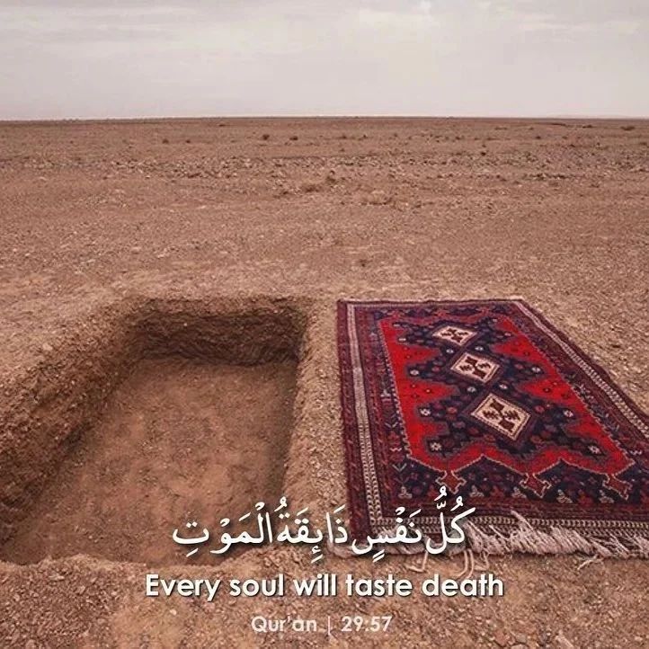 Al__Quraan's tweet image. Too much pride what for? Prepare for this day.