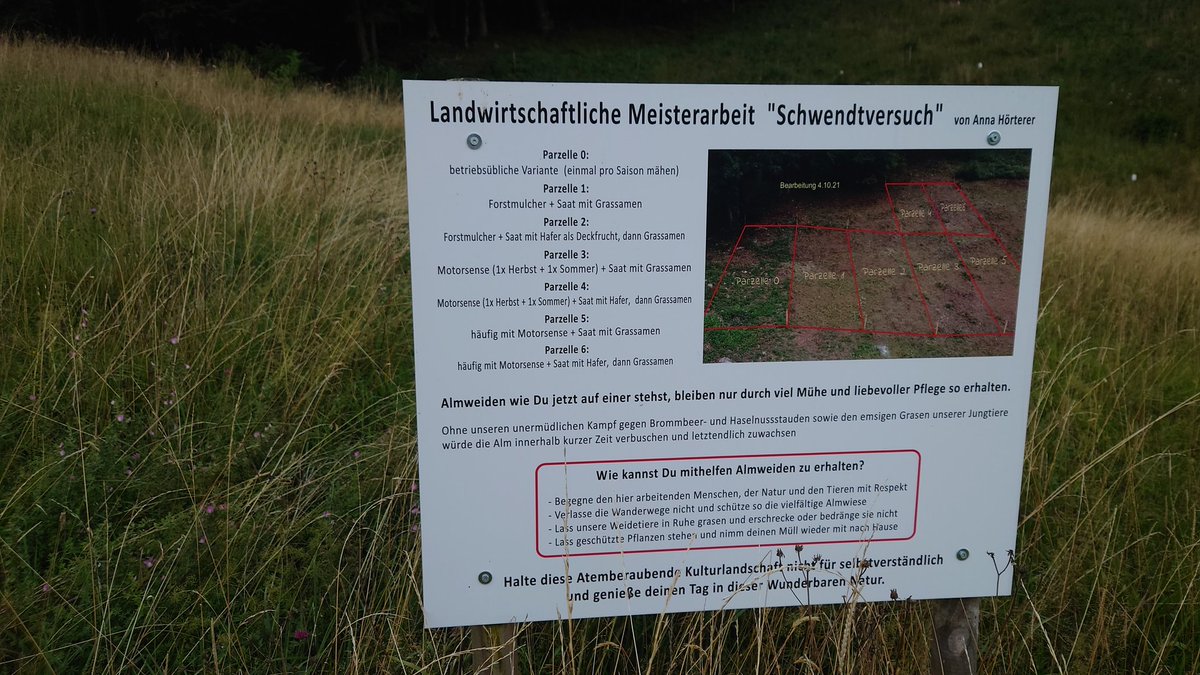 niko_mandl's tweet photo. Bei solchen Versuchen kann man wirklich nur den Kopf schütteln! In Zeiten der #Biodiversitätskriese werden selbst in den #Alpen die Mittel immer radikaler! Letztes Jahr flog hier noch der Schwarze #Apollofalter #Parnassius mnemosyne. https://t.co/MRSwiOjIkv