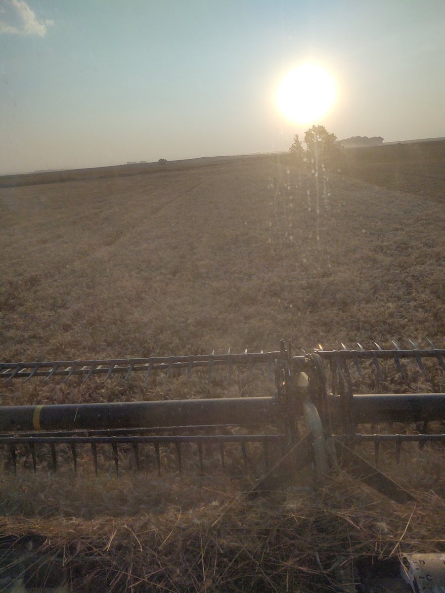 Peter Ness (Ness Farms) tweet media