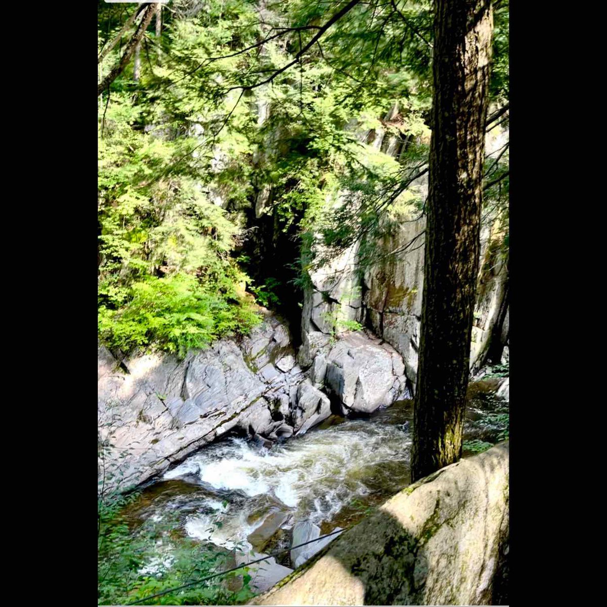 aliontheair's tweet image. “Ali, would you like to go somewhere during your visit? The beach? The Breakers? 

“Can we go to the woods in the middle of nowhere so I can research where to dump a body?” 

#methodwriter #research #chesterfieldgorge #playwright #thepoint 
#wickedkillahpahty