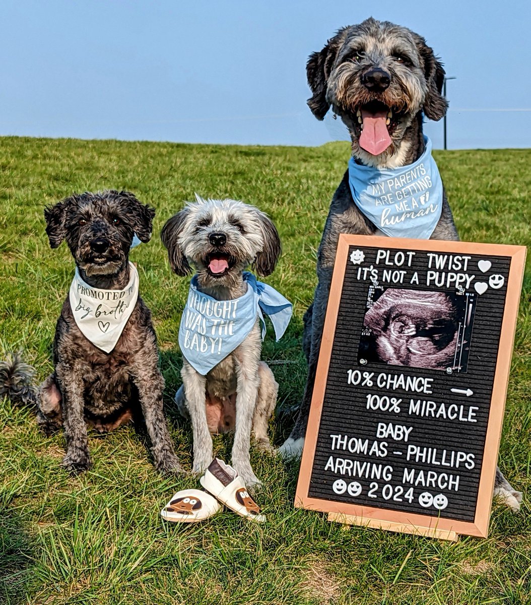 Matt Phillips(he/him) tweet media