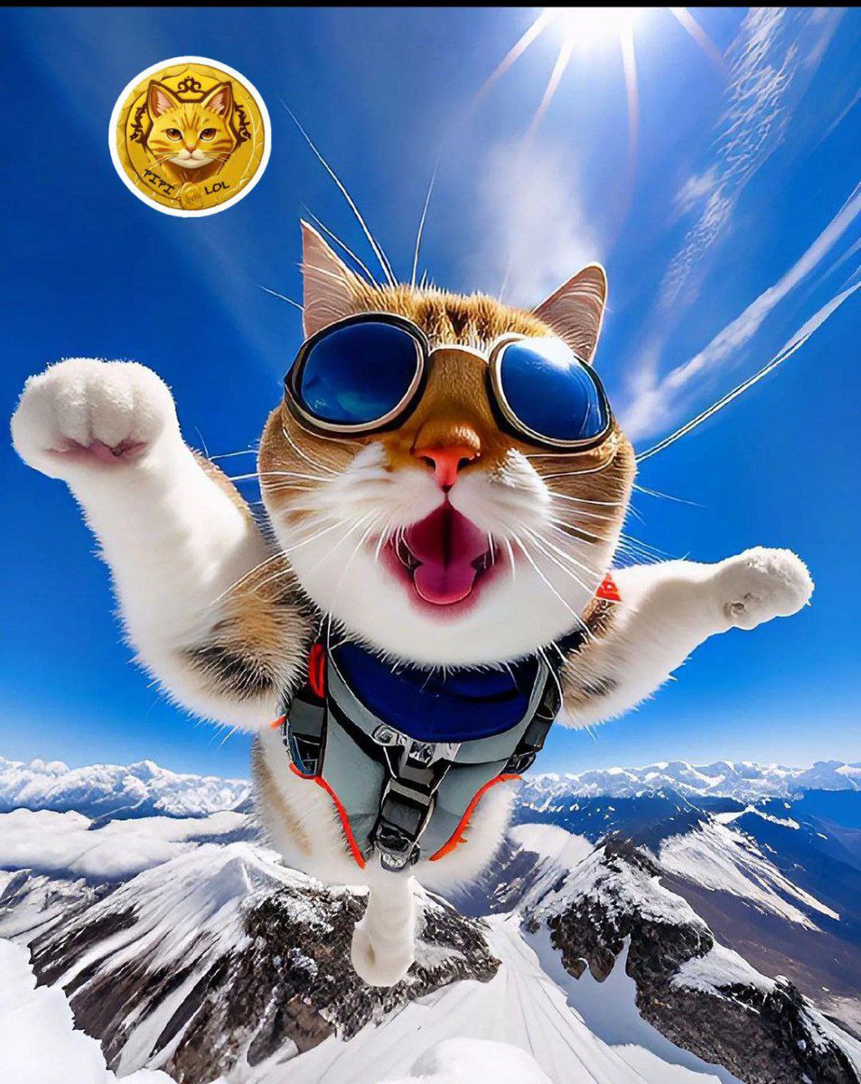 PipiTools's tweet photo. PIPI_LOL to the moons!#bitcoins #Spacelinkcoin 
#NFTgames #CryptoGamin #BlockchainGaming #PlayToEarn
#NFTcollectors #NFTCommunity
#FlokiCeo #BSCGems #x100 #BabyDogeCoin #Pinksale #memecoin #ShibaArmy #caw #cawarmy #cawmmunity $elon #twitter #birds #x #shib  #shibarmy #btc https://t.co/Rw3ATqHe1m