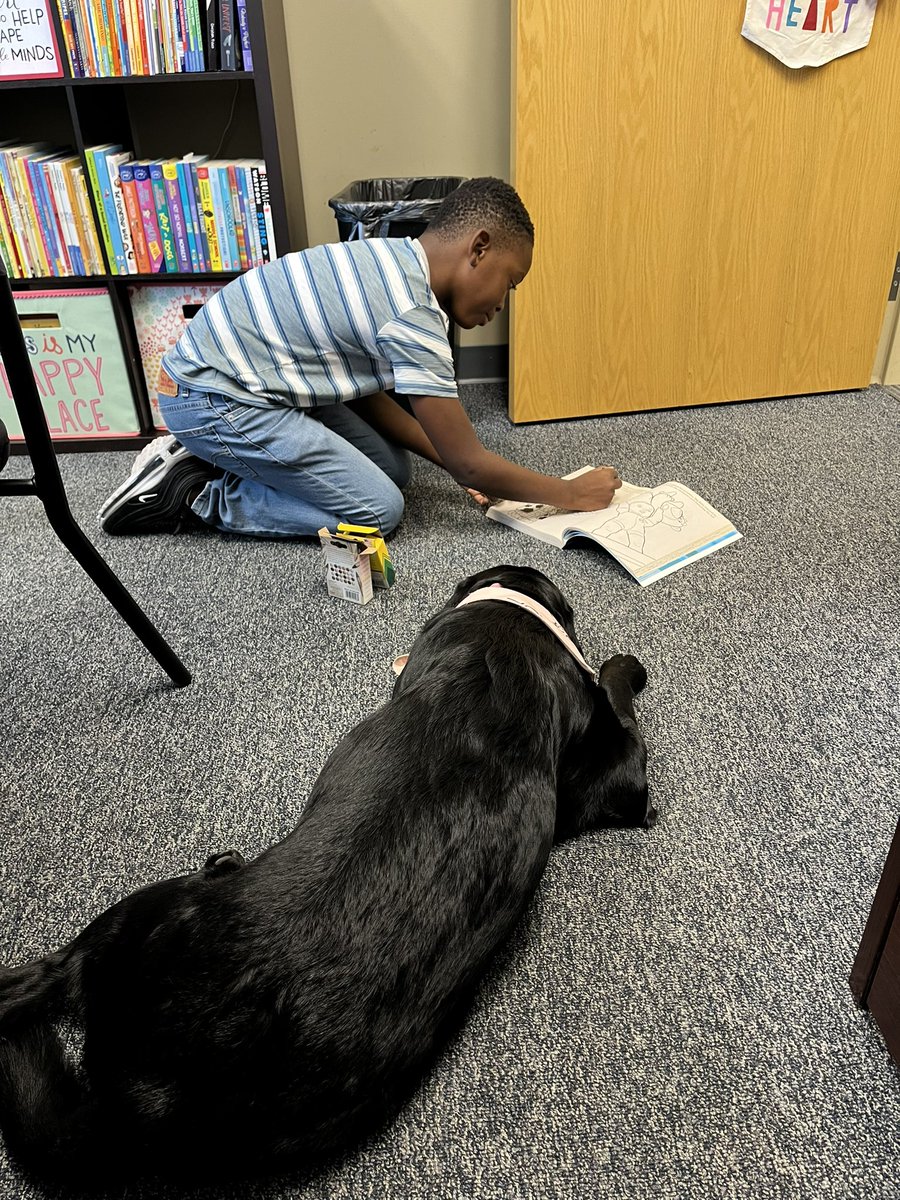 Lox was being a great helper! He loved getting to be beside her on the floor and giving her some love. 💕