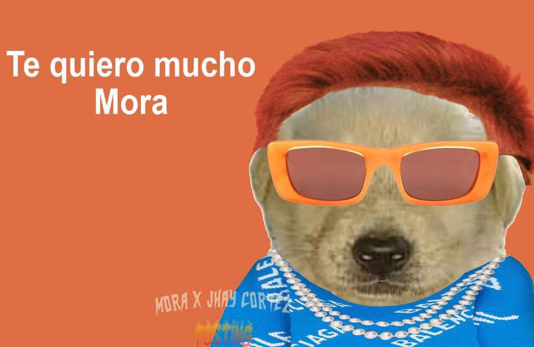 albertoodrr_'s tweet photo. https://t.co/M6zblc3uDV
