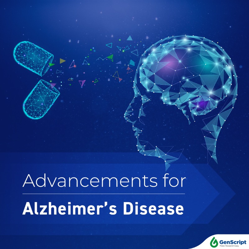 GenScript's tweet photo. 👏Breaking barriers in Alzheimer's disease research! Regulatory authorizations and ongoing clinical trials are paving the way for innovative therapies and diagnostics that give back valuable time to patients and their families. Learn more and find resources here🔥