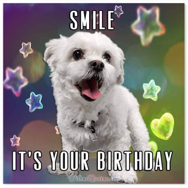 Wishes_Quotes's tweet photo. The Ultimate Guide To Amazing Birthday Wishes 

https://t.co/KIFIXIEzkE

#WishesQuotes #HappyBirthday #birthday #birthdaywishes https://t.co/ILXhLhwPPa