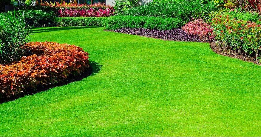 FillMershon's tweet image. green-erlawns.com
When it comes to a great looking lawn, fertilizing goes a long wat towards getting and keeping a beautiful landscape. Nothing beats our unique combination of micro and macro nutrients, soil amendments and organic components. #GreenerLawns #KatyTX