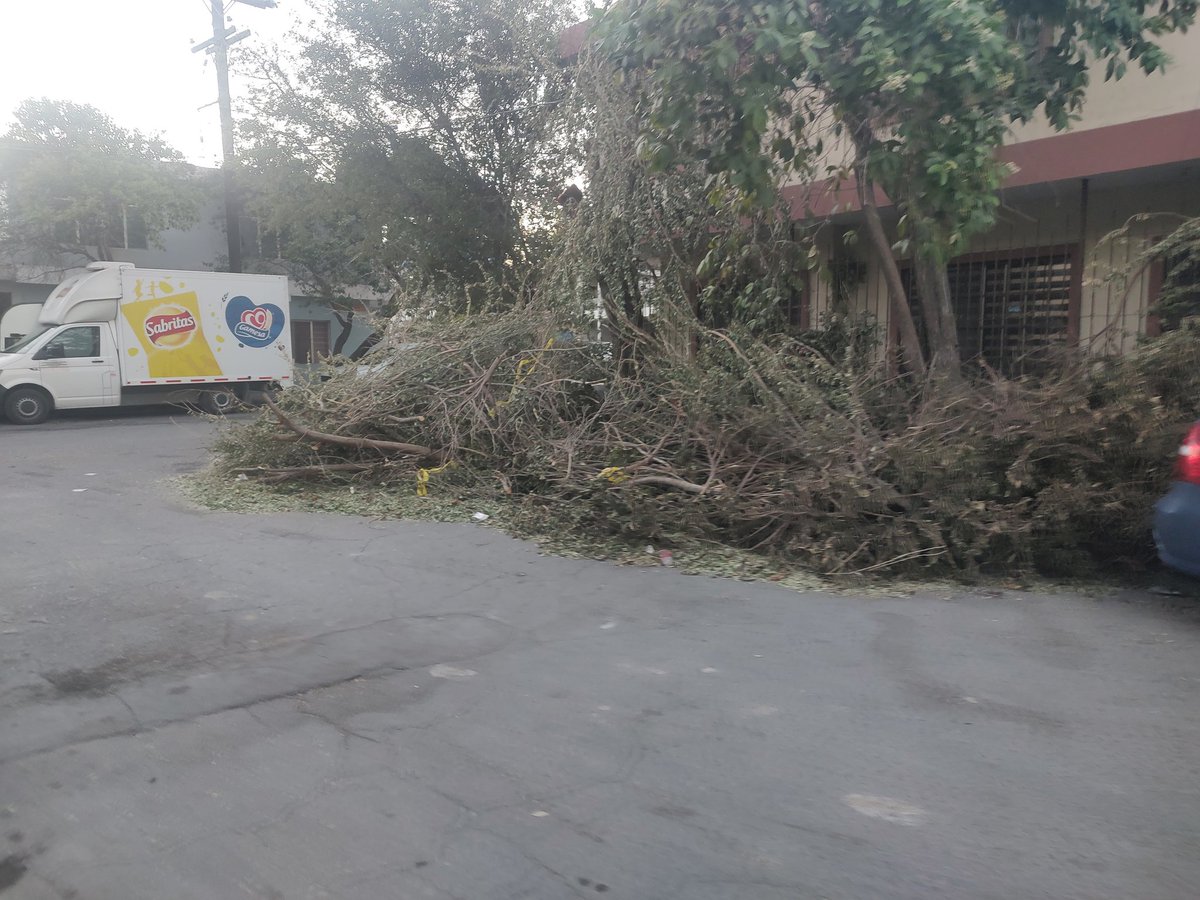 EdgarMarin91's tweet photo. @CFEmx Corto Las Ramas De Los Árboles Ya Tenemos 8 Días Y No han venido a llevarse las Col Unión @municipiodegpe https://t.co/n00cPpjdjR