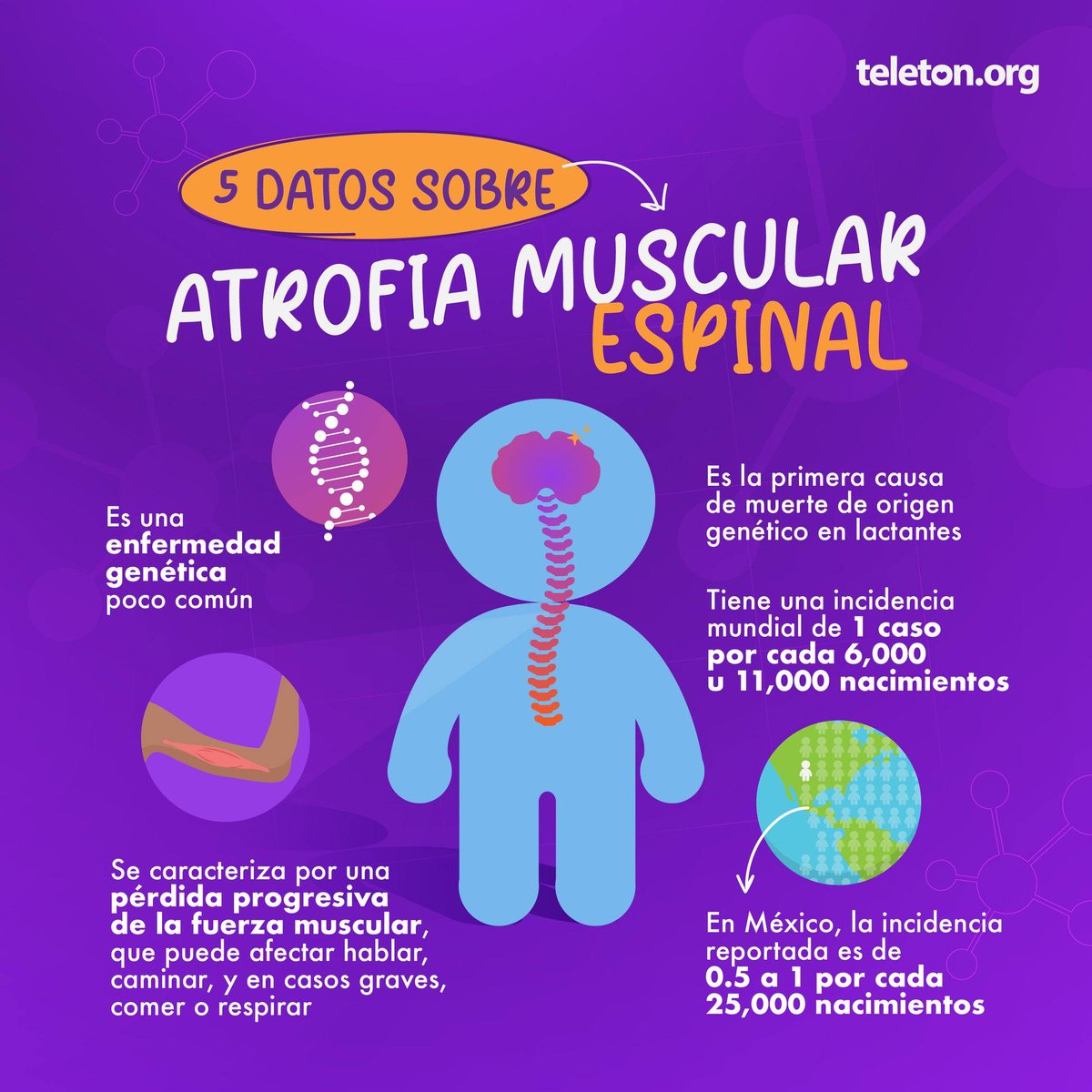 ¿Sabes qué es la atrofia muscular espinal (AME)? Conoce más con estos 5 datos. 🖐🏻 Infórmate en teleton.org #AtrofiaMuscularEspinal