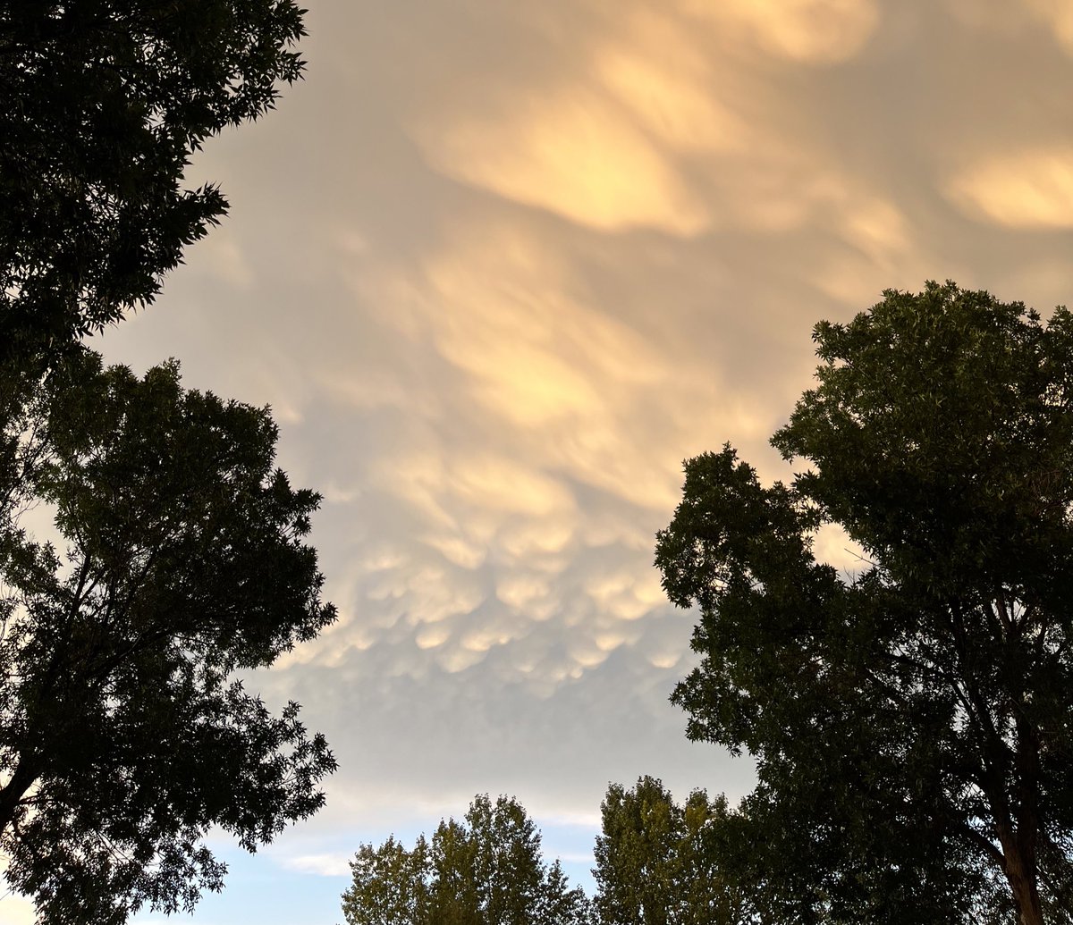 em_sambuco's tweet photo. Cloud action! https://t.co/k5qEJmn1Wk