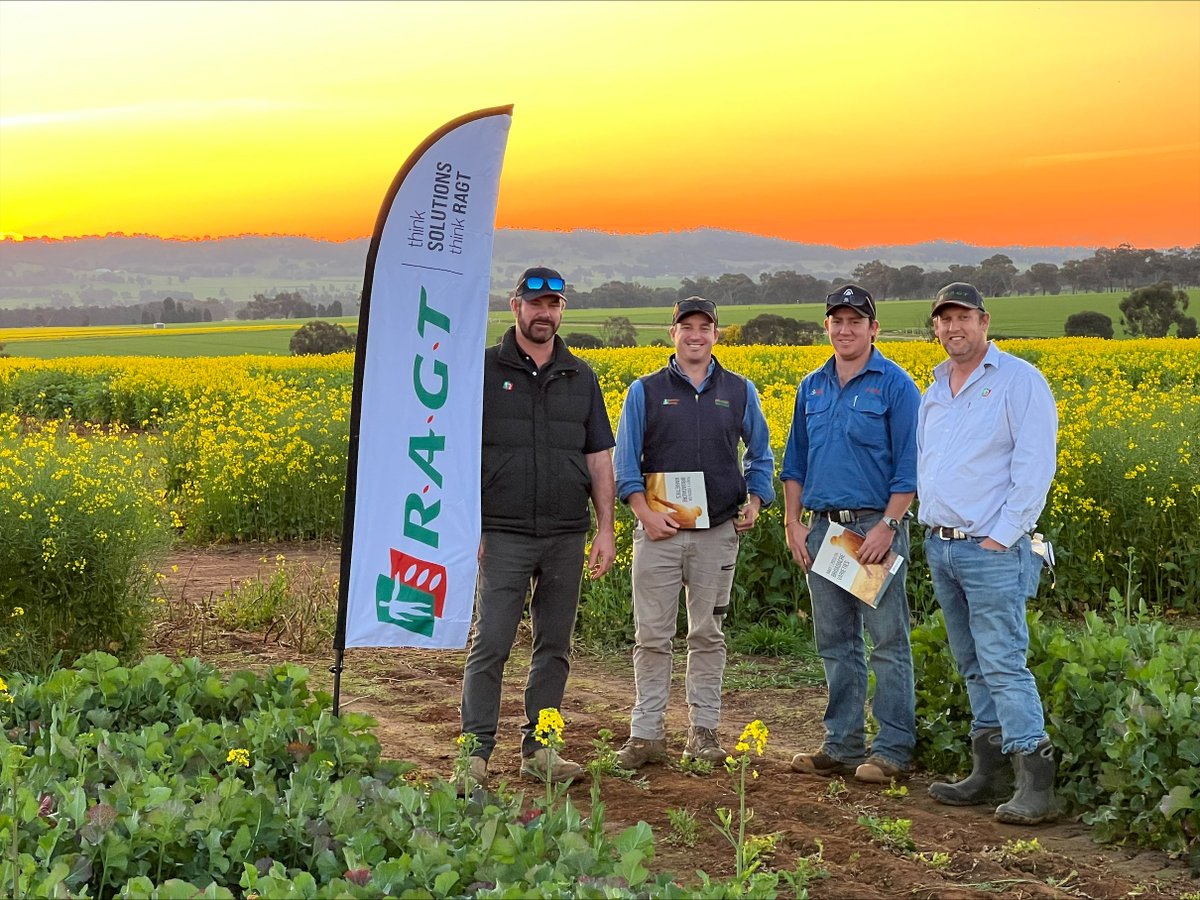 RAGT Gold !!
Dan Zinga, Steve Rouch AgnVET Junee, Josh Hoad AgnVET Ganmain, Dave Leah inspecting RAGT Field site at NSW DPI at Wagga Wagga prior to 22nd Sept International Rapeseed Conference (IRC)
#RAGTAustralia #cultivatinglife #thinksolutions #thinkRAGT #canola #hybridcanola