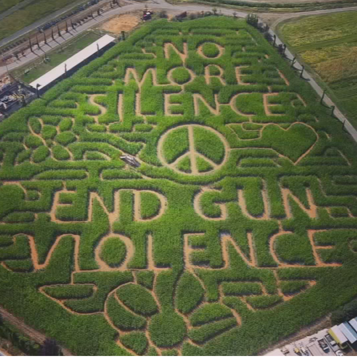 fox12oregon's tweet photo. For the past several years Bella Organic Farm on Sauvie Island has used their corn maze as a platform for bringing people together to discuss important issues. https://t.co/Kyiv4DoROW https://t.co/SF9JYsh9Wg