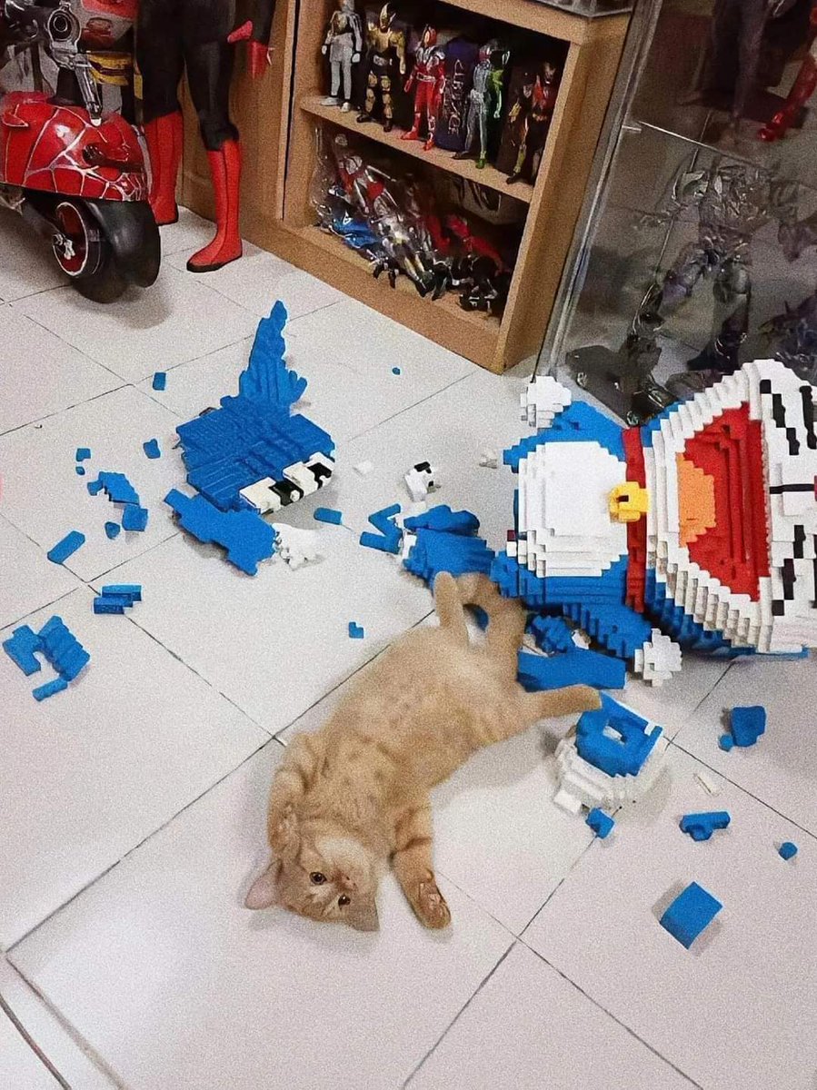 ulat_bulu_bulu's tweet image. Disumpah ganti Doraemon.