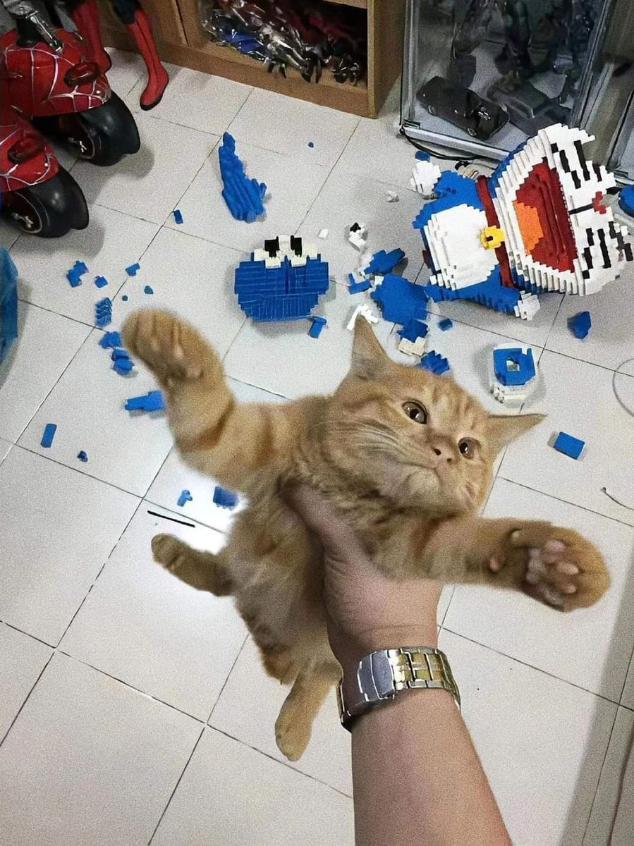 ulat_bulu_bulu's tweet image. Disumpah ganti Doraemon.