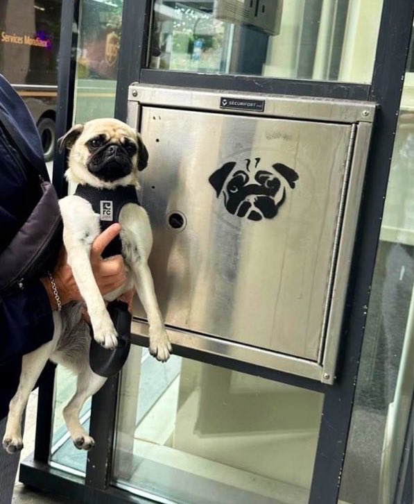 Swears she wasn’t out tagging buildings again.