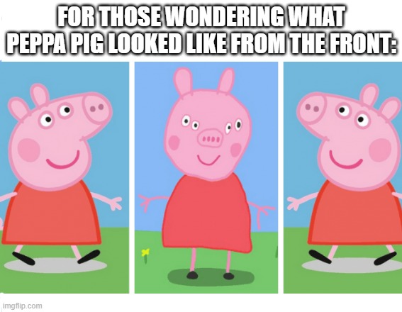 Oinkcoinerc20's tweet photo. I'm pretty sure the piggies be wondering... !! https://t.co/xbGgggREK9