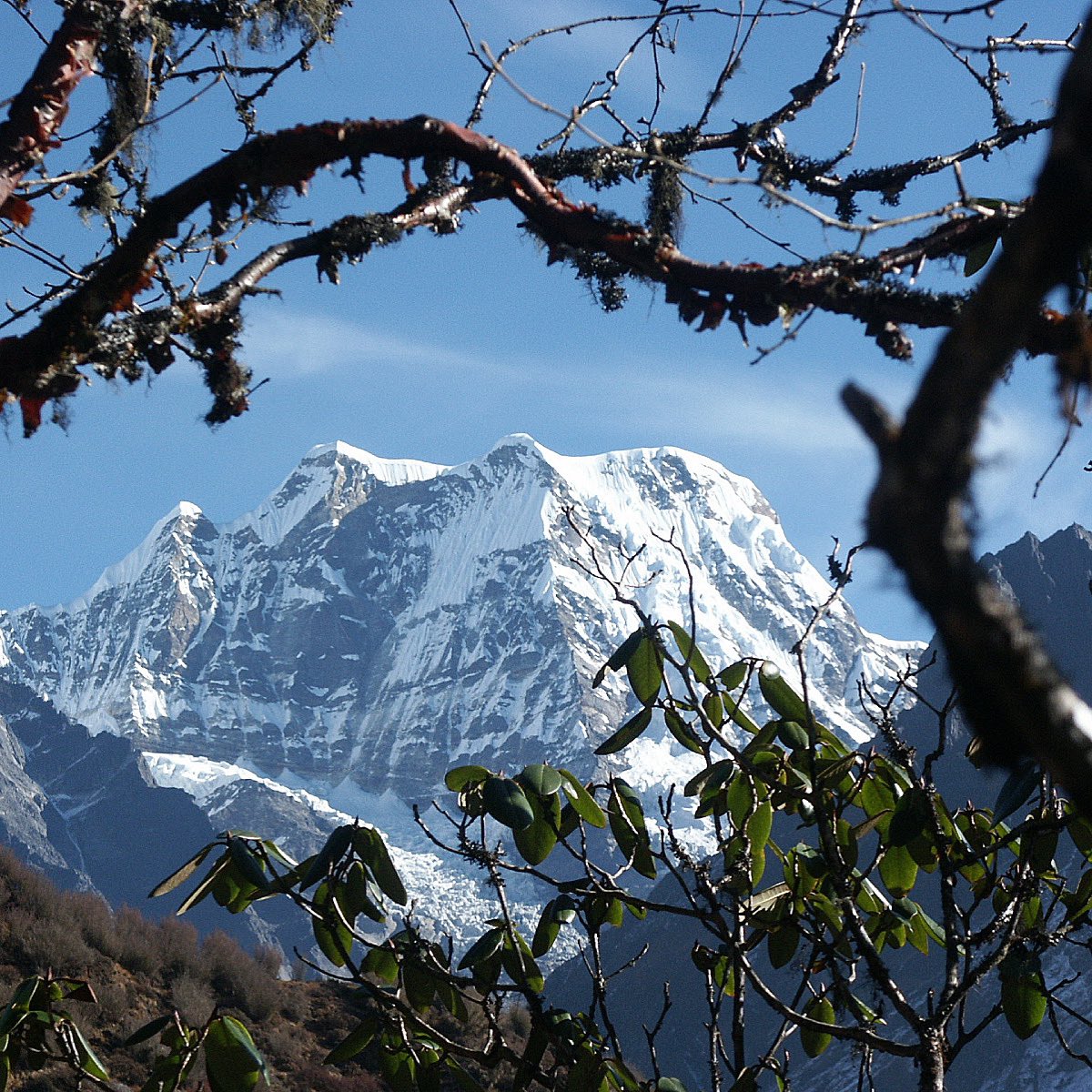 Himalaya Alpine Guides tweet media