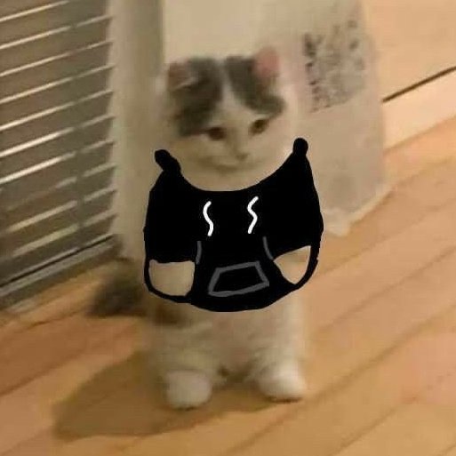 vernonascats's tweet photo. https://t.co/tdAQET7ogf