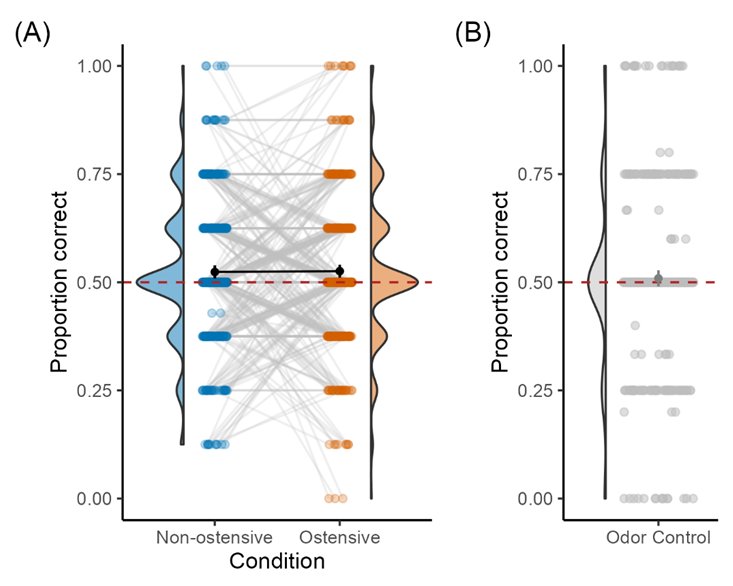 ManyDogs tweet media