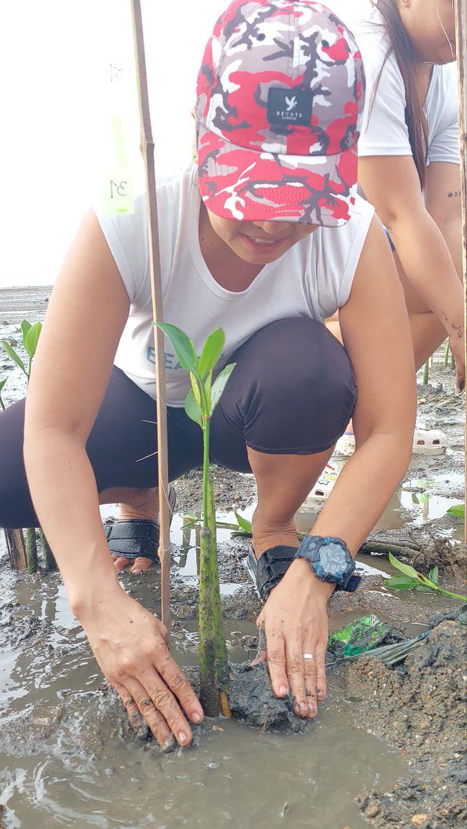 Mangrove planting
#beachcollective
Pls click the link👇

beachcollective.io/share/1586/