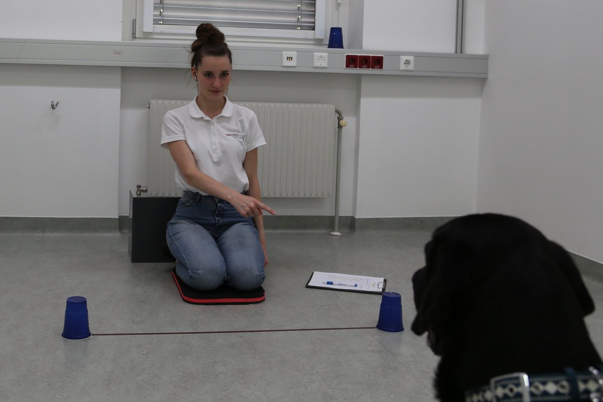 ManyDogs tweet media