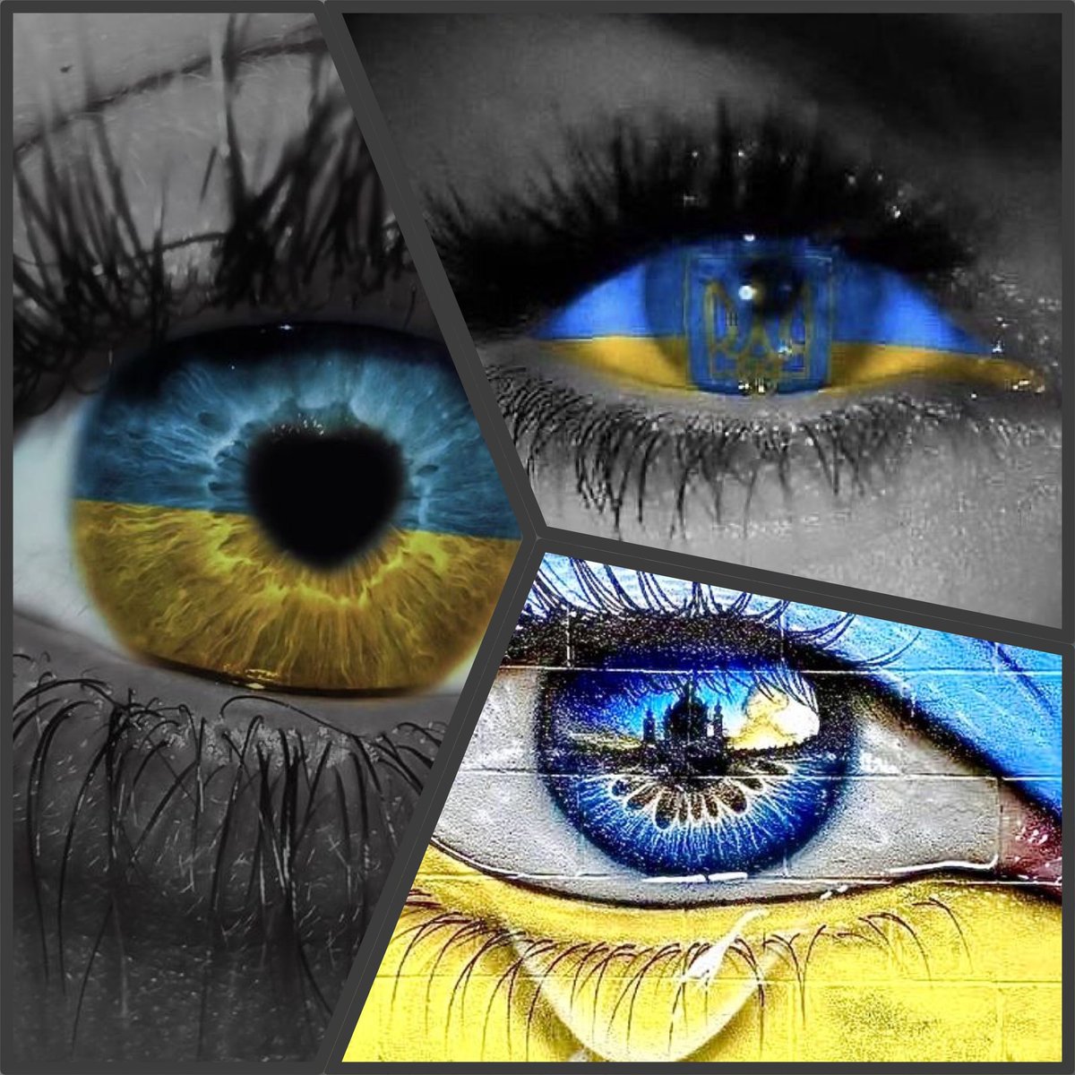 Julienmgs33's tweet photo. Slava Ukraïni ! 🇺🇦 💛💙🫶✊️ https://t.co/d3bnPE49EN