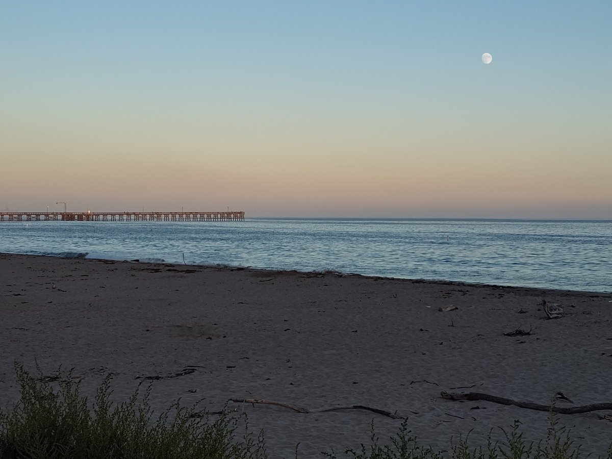 Johnny-kelphead tweet media