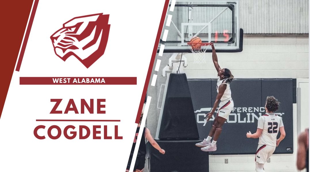 UWA_basketball's tweet image. 🚨 ‼️ 
Zane Cogdell joins the tigers. Help us welcome the 6 foot guard from Cary, North Carolina to Livingston. @UWAAthletics @ZaneCogdell