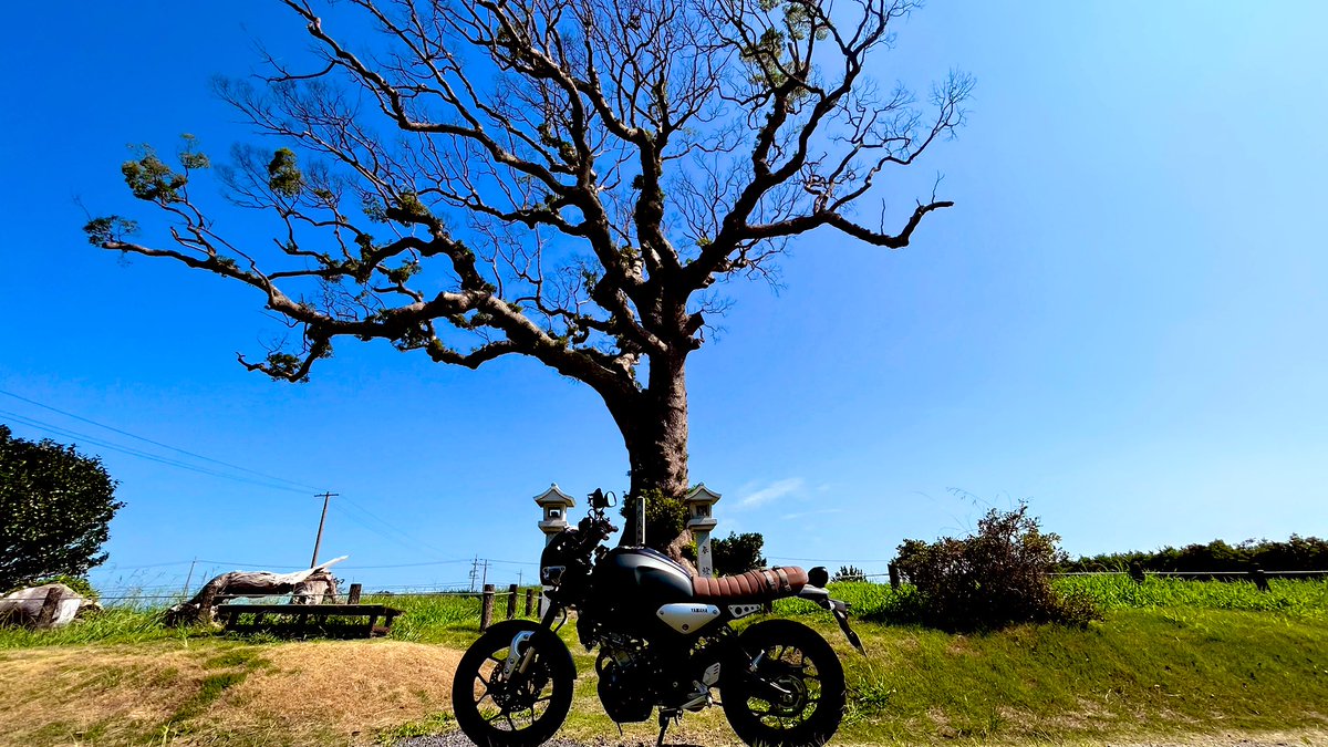 worldhappy's tweet photo. 自己紹介2023🏍
名前:トーマス
性別:男
年齢:46
住み:モータースポーツ聖地
バイク: #YAMAHA #XSR155
好き:ツーリング、音楽活動、写真撮影など。
一言:灯台とバイクと音楽と写真
#バイク乗りとして軽く自己紹介
#バイク乗りと繋がりたい
#バイク好きと繋がりたい
#lighthousetourer
#camerider https://t.co/tMSELU2QtY