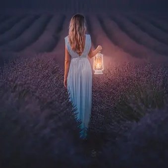 sushdishaTer's tweet image. #She #danced along the edges of #life like #lavender in the #wind, #delicate yet #resilient ...

#NewProfilePic