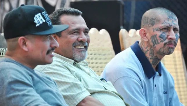 Tendencias tweet media