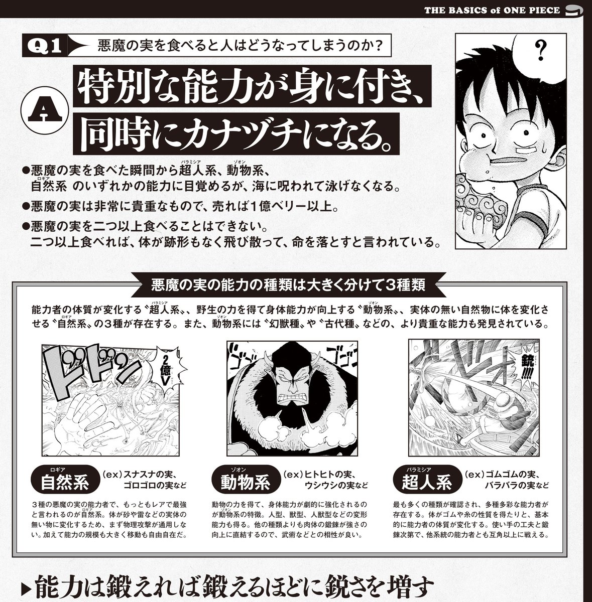 今さら聞けない基礎知識】 悪魔の実や覇気、ストーリーについてなど