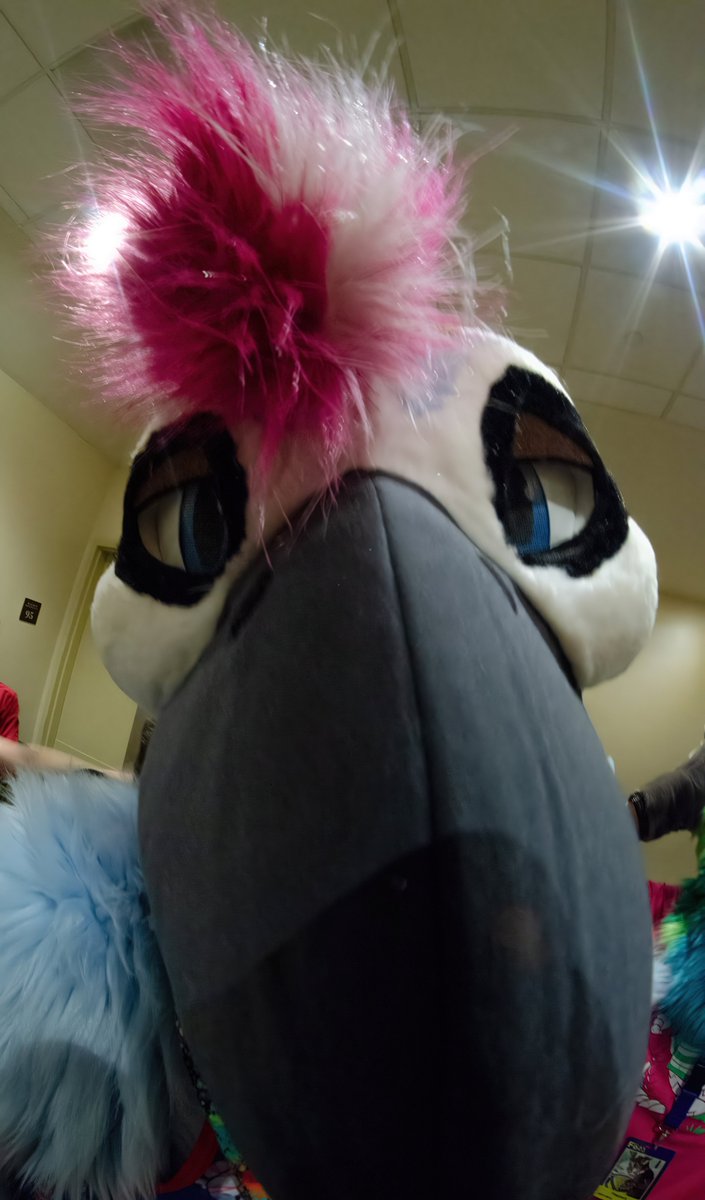 10art1 (@real10art1) on Twitter photo Ok, 4 more honorable mentions
<a href="/DeltaMagpie/">Delta E. Tristar</a>
<a href="/VenturaOsprey/">Ventura The Osprey👉AC</a>
<a href="/NeoSeadrake/">NeoSeadrake/ CrimsonSky</a>
@Seikoliz Ok, 4 more honorable mentions
<a href="/DeltaMagpie/">Delta E. Tristar</a>
<a href="/VenturaOsprey/">Ventura The Osprey👉AC</a>
<a href="/NeoSeadrake/">NeoSeadrake/ CrimsonSky</a>
@Seikoliz