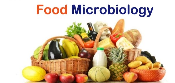 Role of bacteria in #foodmicrobiology:
#Bacteria are the most important #microorganisms to the food processor. Most are harmless, many are highly beneficial, some indicate the probable presence of filth, disease organisms, spoilage and a few cause #disease.